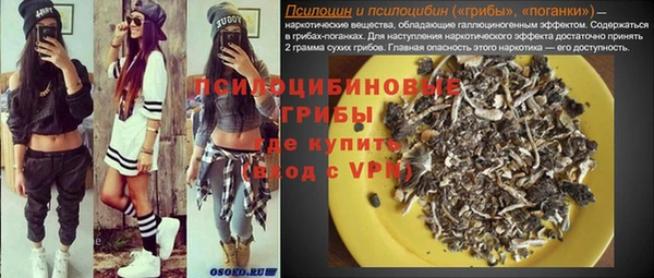 МДПВ Аркадак