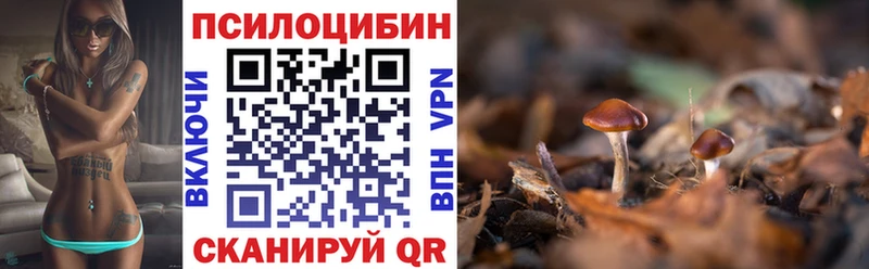 мега зеркало  Инсар  Псилоцибиновые грибы Cubensis  где купить  